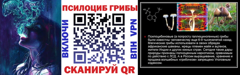площадка наркотические препараты  Туран  Галлюциногенные грибы GOLDEN TEACHER  наркотики 