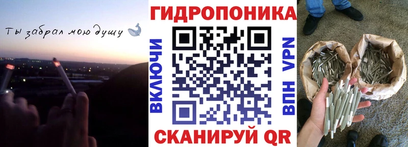 Бошки Шишки THC 21%  МЕГА ССЫЛКА  Туран 